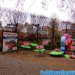 antwerpen-zoo-24-11-2018-0016.jpg