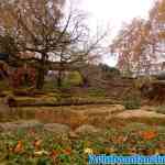 antwerpen-zoo-24-11-2018-0202.jpg