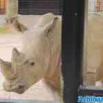 antwerpen-zoo-05-07-2022-110.jpg