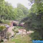 antwerpen-zoo-05-07-2022-141.jpg