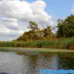 biesbosch-30-08-2018-0012.jpg