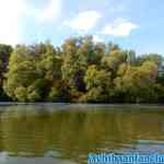 biesbosch-30-08-2018-0035.jpg