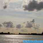 biesbosch-30-08-2018-0040.jpg