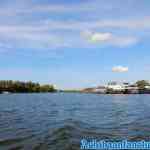 biesbosch-30-08-2018-0044.jpg