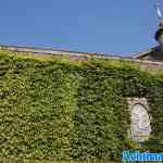 efteling-09-05-2025-036.jpg