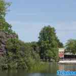 efteling-09-05-2025-053.jpg