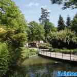 efteling-09-05-2025-330.jpg