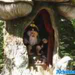 efteling-09-05-2025-382.jpg
