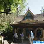 efteling-09-05-2025-388.jpg