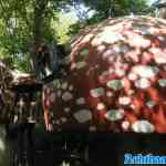 efteling-09-05-2025-399.jpg