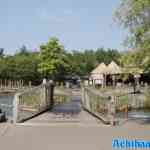 toverland-13-06-2025-183.jpg