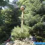 efteling-20-06-2025-020.jpg