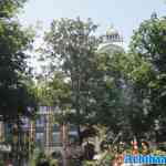 efteling-20-06-2025-024.jpg