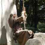 efteling-20-06-2025-034.jpg