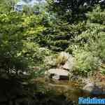 efteling-20-06-2025-048.jpg