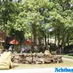 efteling-20-06-2025-054.jpg