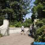 efteling-20-06-2025-070.jpg