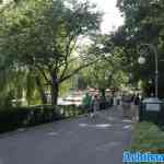 efteling-20-06-2025-083.jpg