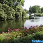 efteling-20-06-2025-084.jpg