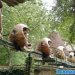 efteling-28-07-2025-044.jpg