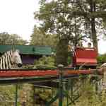 waarbeek-17-08-2025-129.jpg