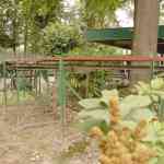 waarbeek-17-08-2025-138.jpg