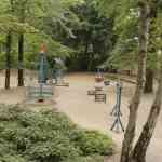 efteling-29-08-2025058.jpg