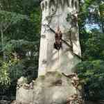 efteling-13-09-2025-066.jpg
