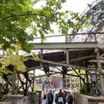 efteling-03-10-2025-013.jpg