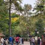 efteling-03-10-2025-042.jpg
