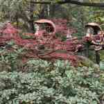 efteling-03-10-2025-049.jpg