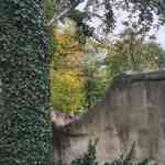 efteling-03-10-2025-086.jpg