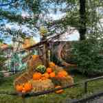 hellendoorn-04-10-2025-125.jpg