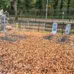 drouwenerzand-16-10-2025-013.jpg