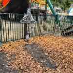 drouwenerzand-16-10-2025-014.jpg