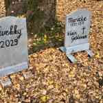 drouwenerzand-16-10-2025-015.jpg