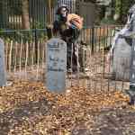 drouwenerzand-16-10-2025-016.jpg