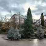 toverland-29-11-2025-137.jpg