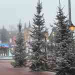 europa-park-13-12-2025-011.jpg