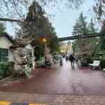 europa-park-13-12-2025-078.jpg
