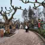 europa-park-13-12-2025-080.jpg