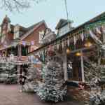 europa-park-13-12-2025-109.jpg