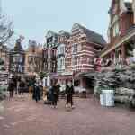 europa-park-13-12-2025-110.jpg