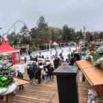 europa-park-13-12-2025-119.jpg