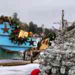 europa-park-13-12-2025-120.jpg