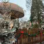 europa-park-13-12-2025-220.jpg