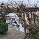 europa-park-13-12-2025-234.jpg