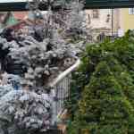 europa-park-13-12-2025-236.jpg