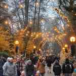 europa-park-13-12-2025-289.jpg