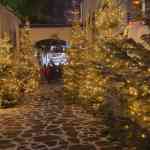 europa-park-13-12-2025-331.jpg